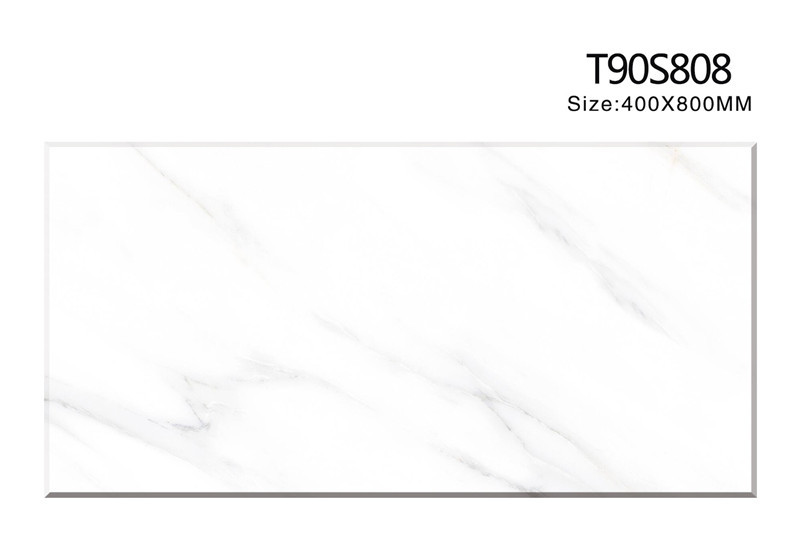 T90S808